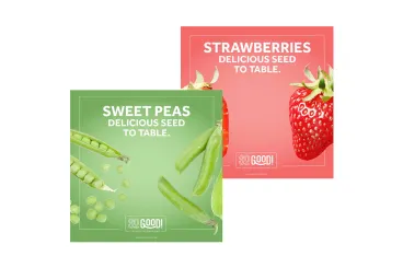 seed packets of strawberries and peas for seed to table programs