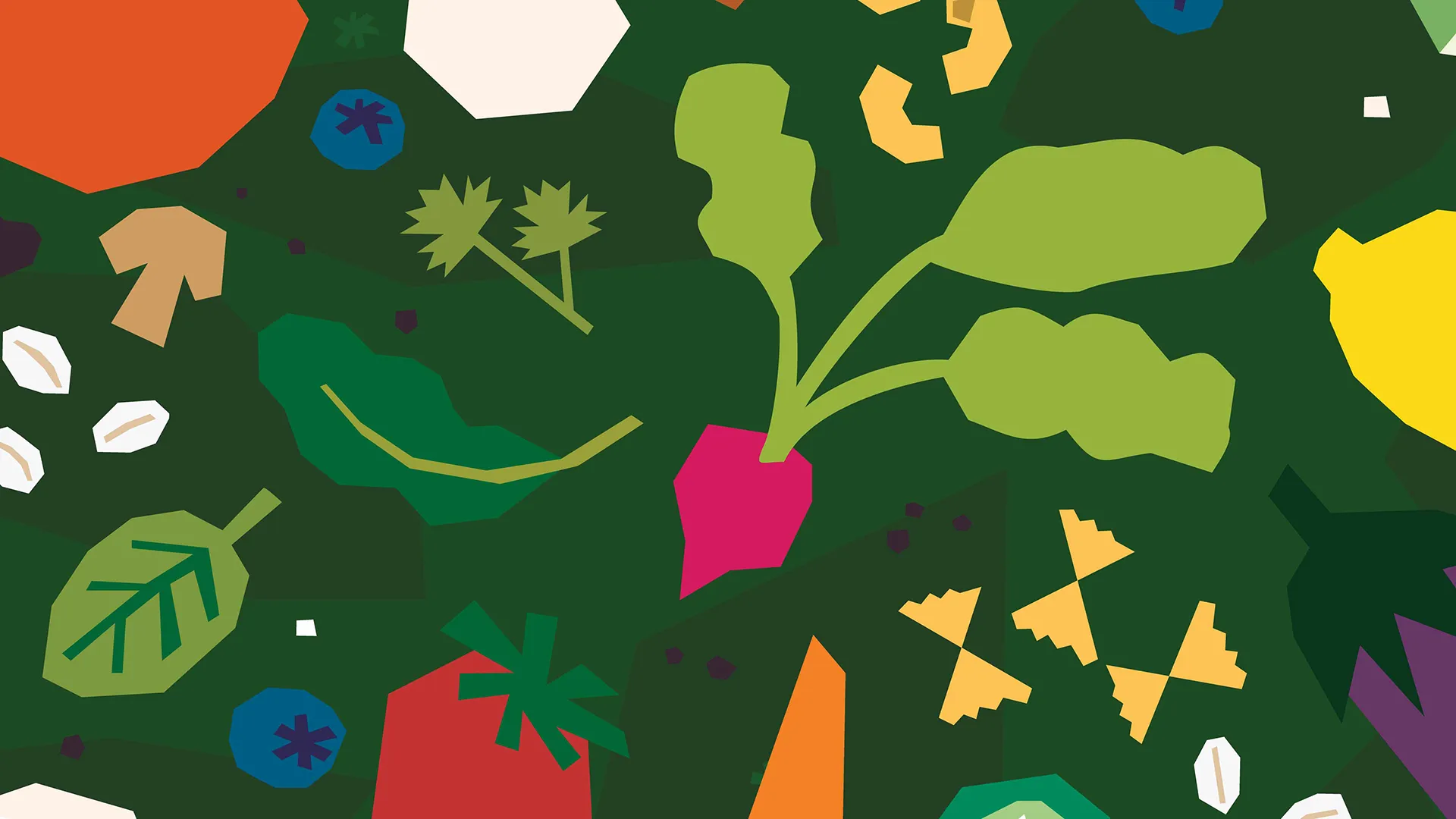 Color illustrations of various ingredients and produce