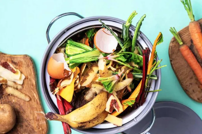 food ready for compost